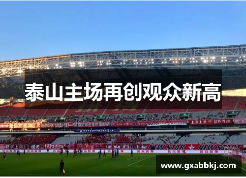 泰山主场再创观众新高